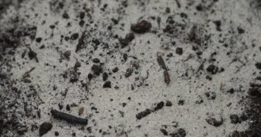 Gübre toprak Çömlekçilik depo gözüne dikim karıştırma