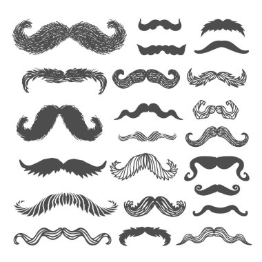 Movember bıyık set