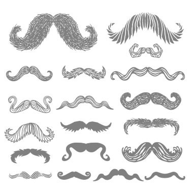 Movember bıyık set