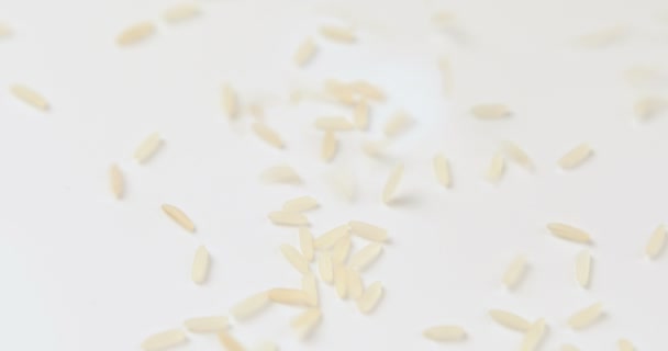 Rice Falling White Background — Stock Video