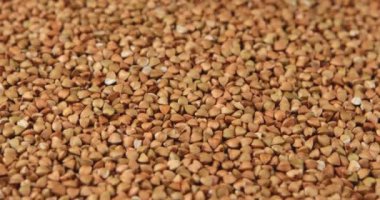 Tam buğday tanelerinin arkaplanının döndürülmesi