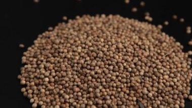 Kişniş tohumu yığını. Pikapta döndürme