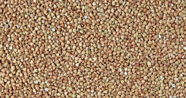 Semole secche di grano saraceno — Foto Stock