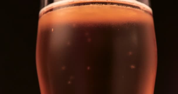 Kaltes Leichtes Bier Einem Glas Mit Wassertropfen Craft Beer Hautnah — Stockvideo