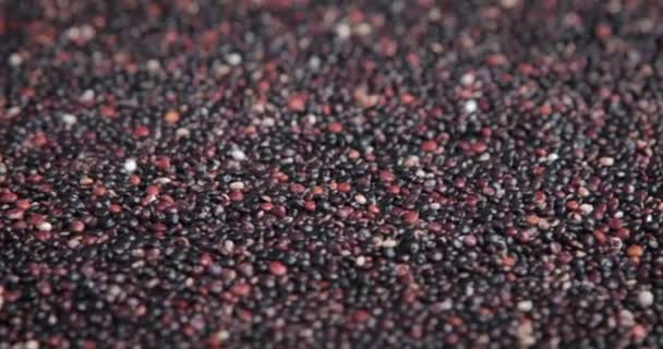 Heap Sementes Quinoa Rotativo — Vídeo de Stock