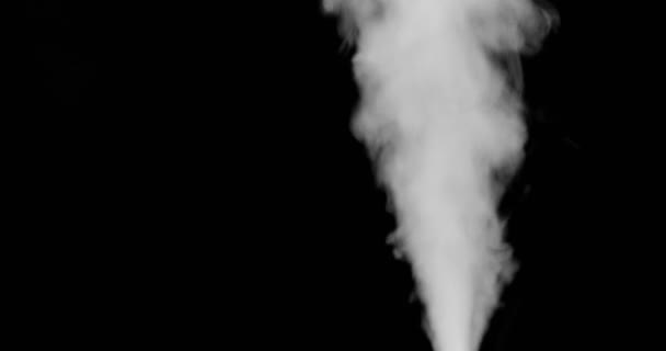 Rook Achtergrond Witte Rook Zweeft Door Ruimte Tegen Zwarte Achtergrond — Stockvideo