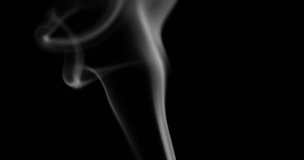 煙の背景 黒を背景に空間を浮遊する白い煙 — ストック動画