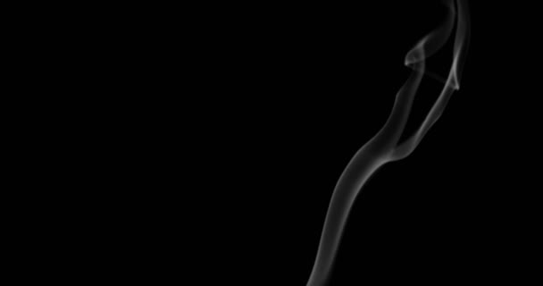 Sigara Arkaplanı Beyaz Duman Siyah Arkaplan Üzerinde Uzayda Yüzüyor — Stok video