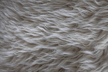 Arka plan için beyaz kürk