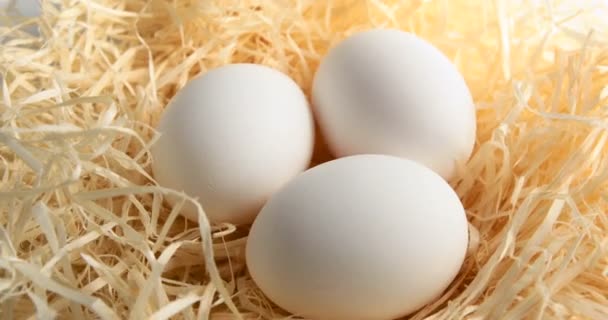 Вращение Белого Яйца — стоковое видео