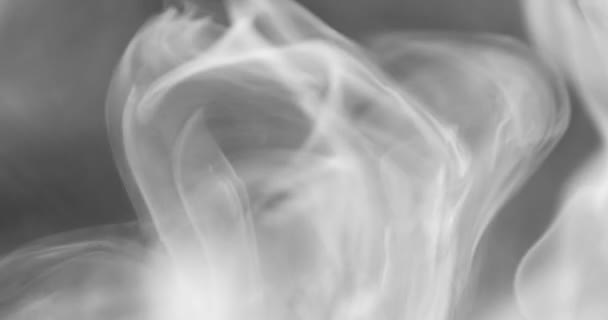 黒を背景に空間を浮遊する白い煙 — ストック動画