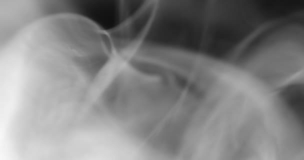 Белый Дым Плавающий Пространстве Черном Фоне — стоковое видео