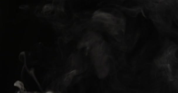 Witte Rook Zweeft Door Ruimte Tegen Zwarte Achtergrond — Stockvideo
