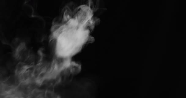 Weißer Rauch Zieht Vor Schwarzem Hintergrund Durch Den Raum — Stockvideo