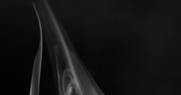 Bílý Kouř Plovoucí Prostorem Černém Pozadí — Stock video