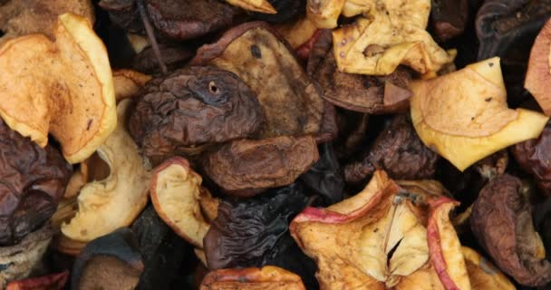 Many Dried Fruit Apples Scattered Background — Stock Video