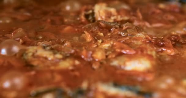 Vissoep Kookt Een Pot Keuken — Stockvideo