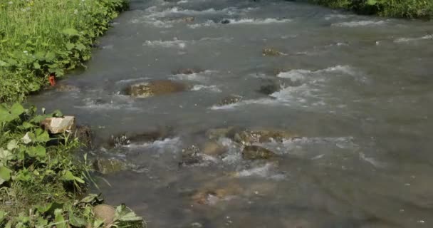 Närbild Vattenströmmen Mountain River Water — Stockvideo