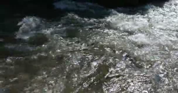Primer Plano Corriente Agua Montaña Río Agua — Vídeos de Stock