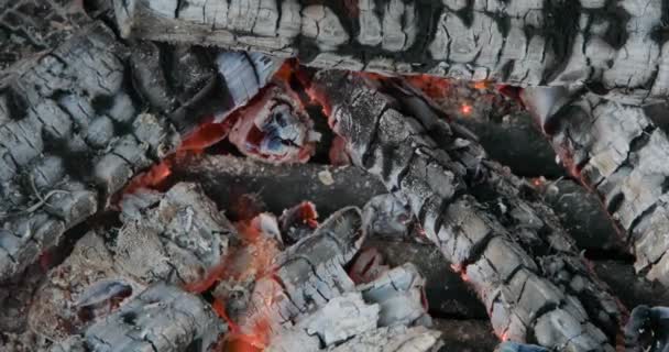 屋外でたき火のくすぶる石炭 — ストック動画