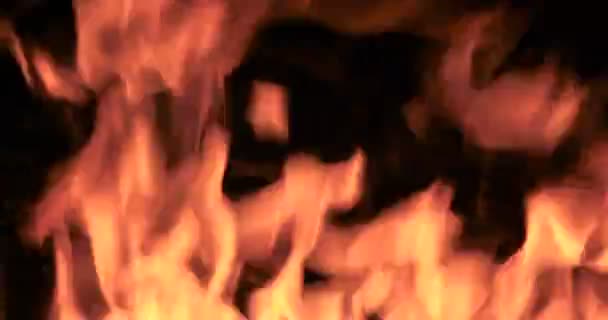 Κλείνω Φωτιά Φλόγες Της Φωτιάς Του Κάμπινγκ — Αρχείο Βίντεο