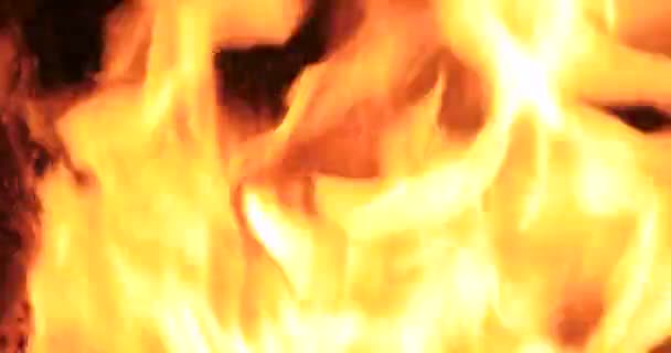 Płomienie Ogniska Pożaru Camping Bliska — Wideo stockowe