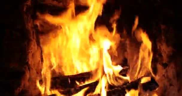 Lagerfeuerflammen Aus Nächster Nähe — Stockvideo