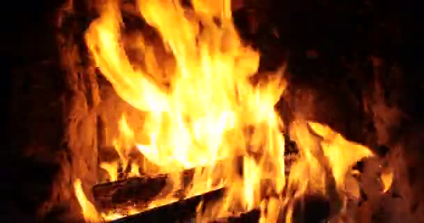Κλείνω Φωτιά Φλόγες Της Φωτιάς Του Κάμπινγκ — Αρχείο Βίντεο