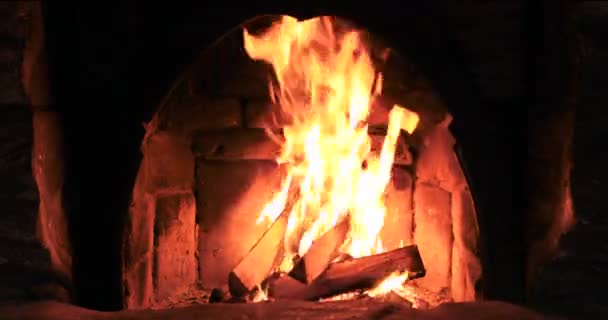 Закрити Багаття Полум Кемпінгового Вогню — стокове відео