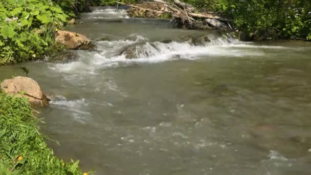 Zbliżenie Strumienia Wody Rzeka Górska Woda — Wideo stockowe