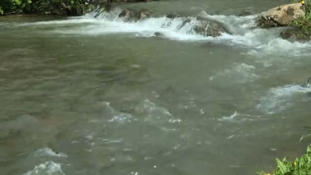 Закрити Водний Потік Гірська Річкова Вода — стокове відео