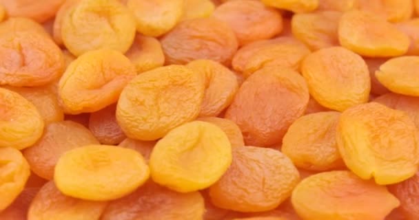 Rotation Naturally Dried Apricots — Αρχείο Βίντεο
