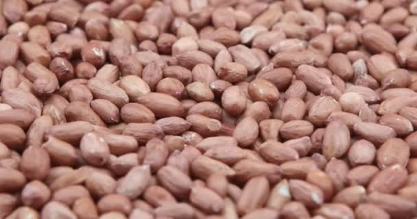 Close Amendoins Não Descascados Fundo Alimentar — Vídeo de Stock