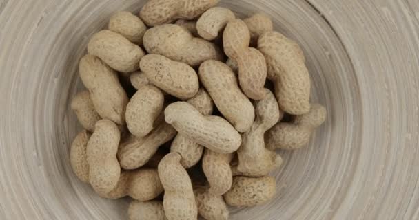 Trockene Erdnüsse Rotation Bio Lebensmittel — Stockvideo