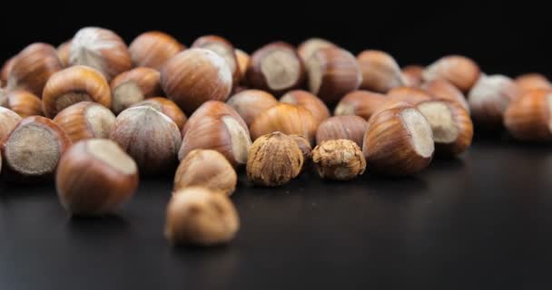 Stack Hazelnuts Food Background — Stock Video