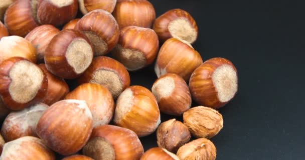 Stack Hazelnuts Food Background — Stock Video