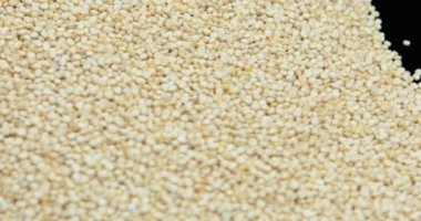 Quinoa çiğ tohumlar. Gıda arka plan