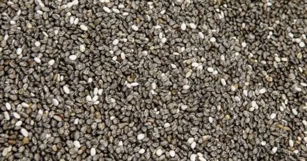 Chia Seeds Close Food Background — Stock Video