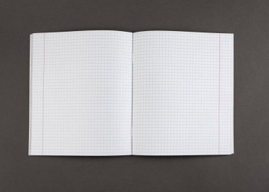 açık defter ile boş sayfalar