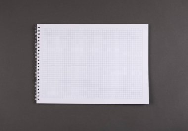 açık defter ile boş sayfalar