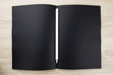 açık defter ile boş sayfalar