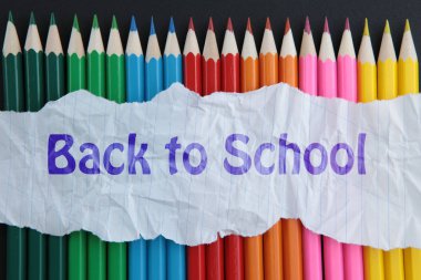 Okul konseptine dönüş