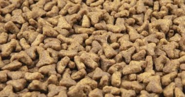 Evcil hayvan kuru yiyeceklerin yakın çekim. Kedi veya köpek Pellet yığını