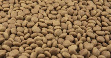Evcil hayvan kuru yiyeceklerin yakın çekim. Kedi veya köpek Pellet yığını