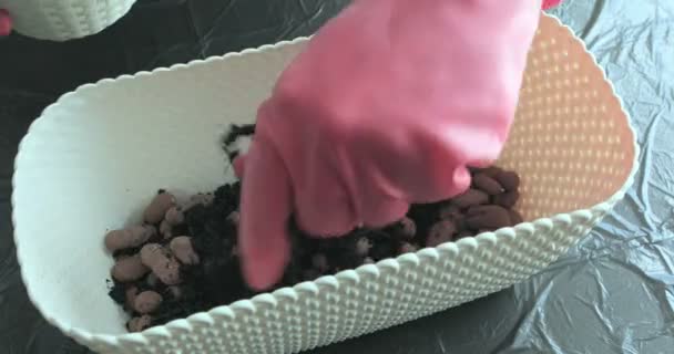 Man Hands Spreads Organic Fertilizer — Stock Video