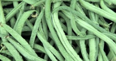 Kuşkonus küçük kapsüller 