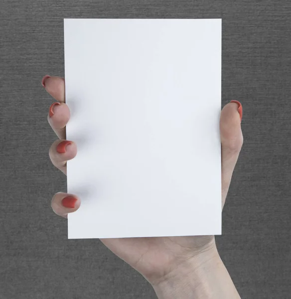 Kobieta trzyma białą broszurę — Zdjęcie stockowe
