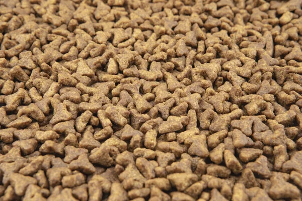 Κοντινό κομμάτι ξηρών τροφών κατοικίδιων ζώων — Φωτογραφία Αρχείου
