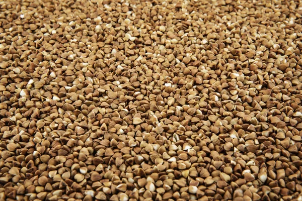 Cereali integrali di grano saraceno — Foto Stock