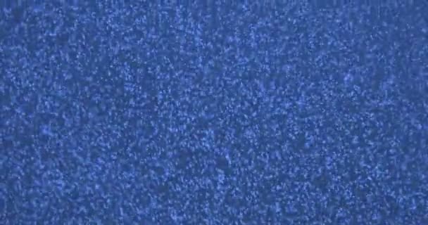 Luftblasen Wasser Auf Blauem Hintergrund — Stockvideo